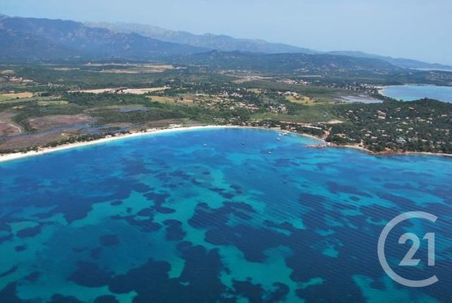 Maison à louer - 3 pièces - 88 m2 - Lecci - 201 - CORSE