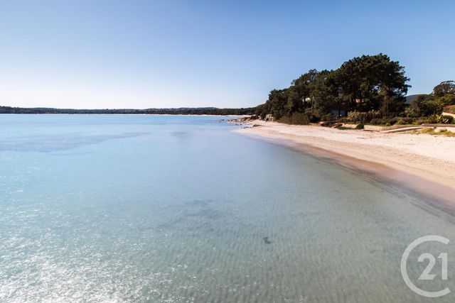 Maison à louer - 3 pièces - 88 m2 - Lecci - 201 - CORSE