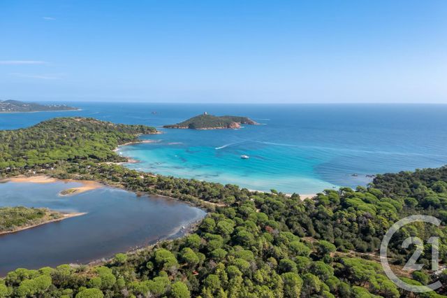 Maison à louer - 5 pièces - 200 m2 - Zonza - 201 - CORSE