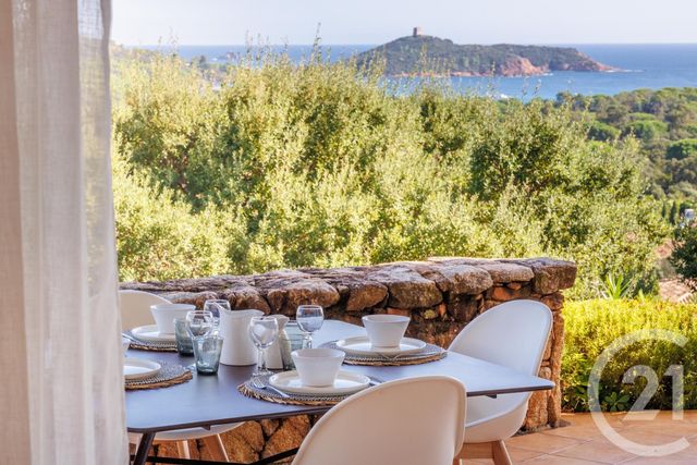 Maison à louer - 5 pièces - 200 m2 - Zonza - 201 - CORSE