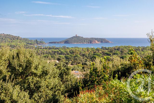 Maison à louer - 5 pièces - 200 m2 - Zonza - 201 - CORSE