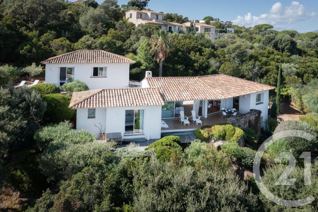 Maison à louer - 5 pièces - 200 m2 - Zonza - 201 - CORSE