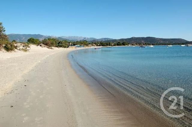 Maison à louer - 4 pièces - 101 m2 - Lecci - 201 - CORSE