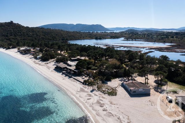 Maison à louer - 4 pièces - 101 m2 - Lecci - 201 - CORSE