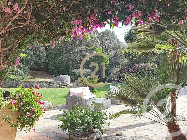 Maison à louer - 4 pièces - 125 m2 - Porto Vecchio - 201 - CORSE