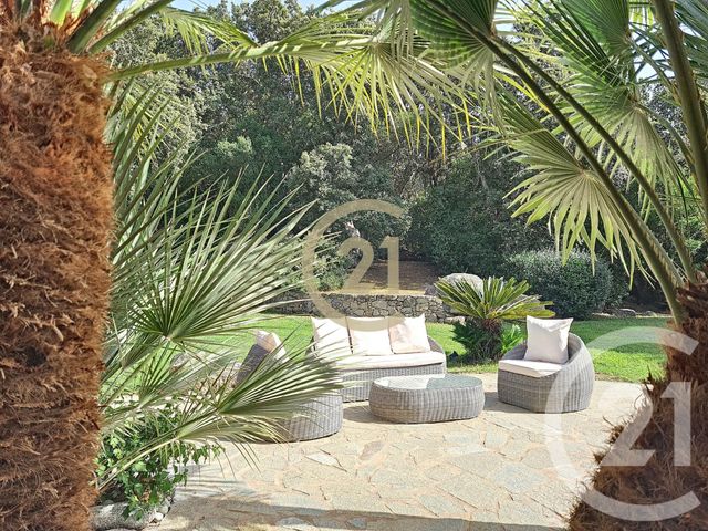 Maison à louer - 4 pièces - 125 m2 - Porto Vecchio - 201 - CORSE