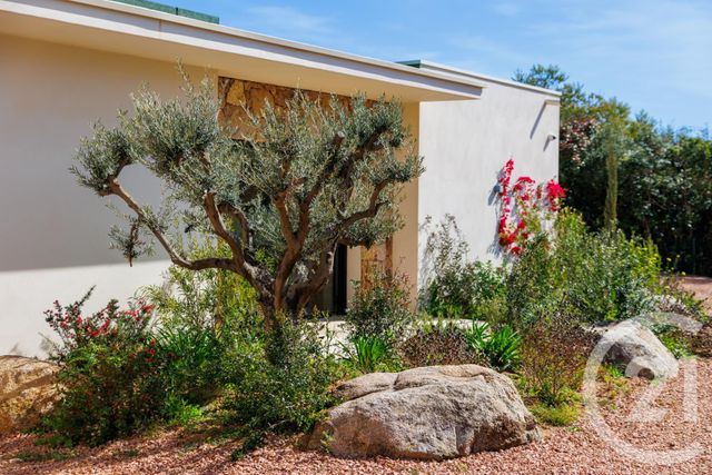 Maison à louer - 5 pièces - 160 m2 - Zonza - 201 - CORSE