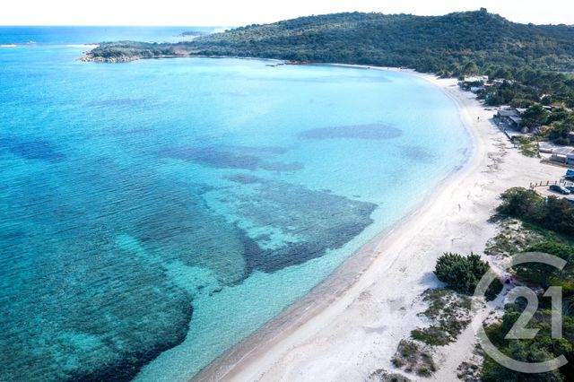 Maison à louer - 5 pièces - 160 m2 - Zonza - 201 - CORSE