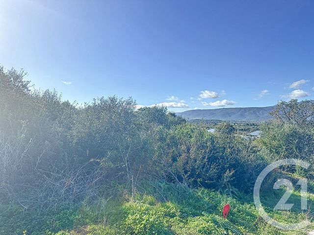 Terrain &agrave; vendre - 804 m2 - Porto Vecchio - 201 - CORSE