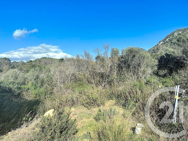 Terrain &agrave; vendre - 804 m2 - Porto Vecchio - 201 - CORSE