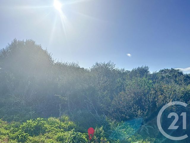 Terrain &agrave; vendre - 875 m2 - Porto Vecchio - 201 - CORSE