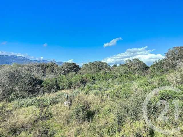 Terrain &agrave; vendre - 875 m2 - Porto Vecchio - 201 - CORSE
