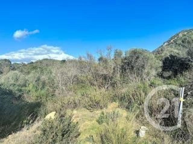 Terrain &agrave; vendre - 875 m2 - Porto Vecchio - 201 - CORSE
