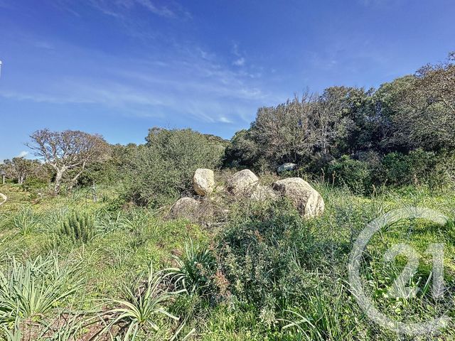 Terrain &agrave; vendre - 697 m2 - Porto Vecchio - 201 - CORSE