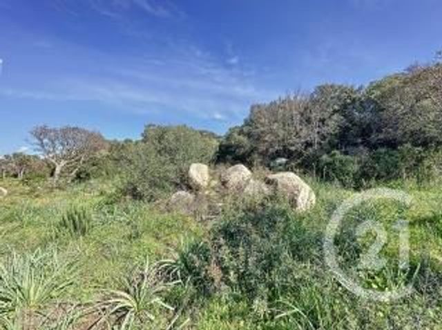 Terrain &agrave; vendre - 764 m2 - Porto Vecchio - 201 - CORSE