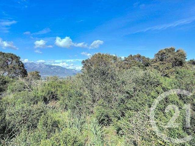 Terrain &agrave; vendre - 764 m2 - Porto Vecchio - 201 - CORSE