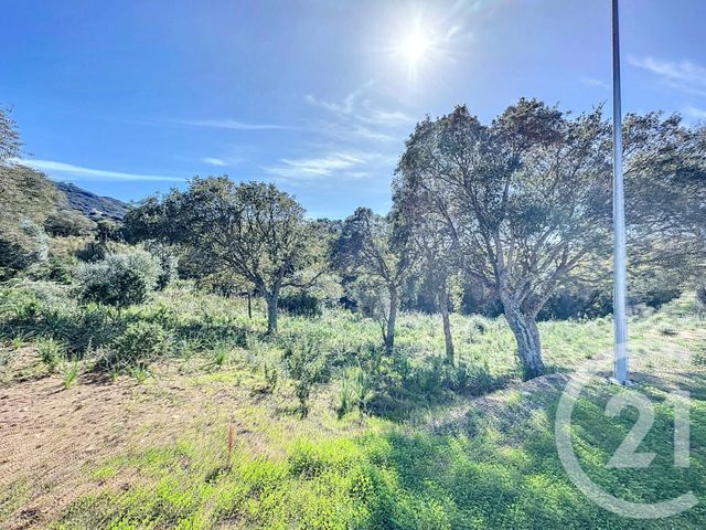 Terrain &agrave; vendre - 838 m2 - Porto Vecchio - 201 - CORSE