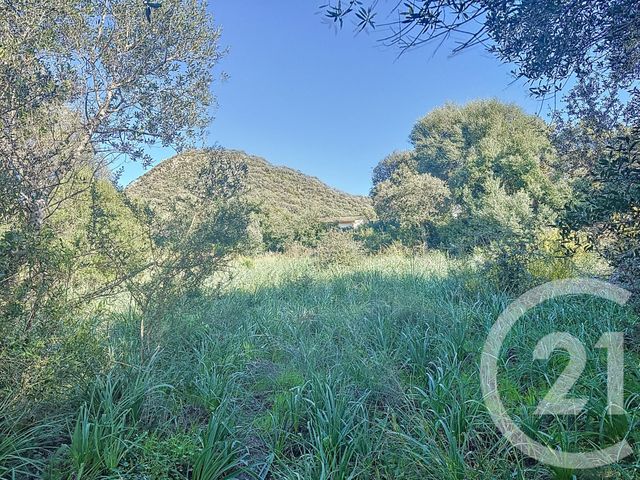 Terrain &agrave; vendre - 838 m2 - Porto Vecchio - 201 - CORSE
