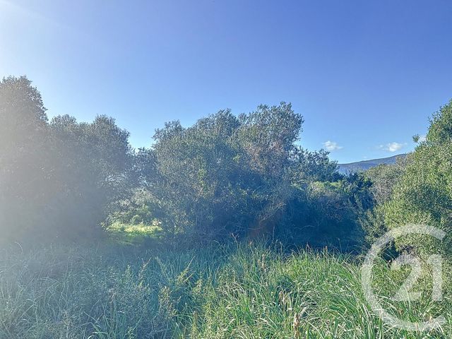 Terrain &agrave; vendre - 827 m2 - Porto Vecchio - 201 - CORSE