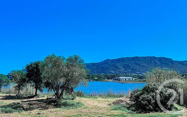 appartement - PORTO VECCHIO - 201