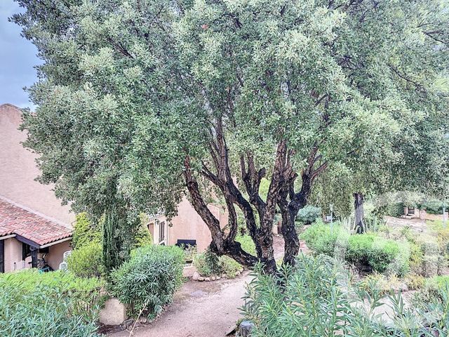 Appartement Studio à vendre - 1 pièce - 33,46 m2 - Lecci - 201 - CORSE