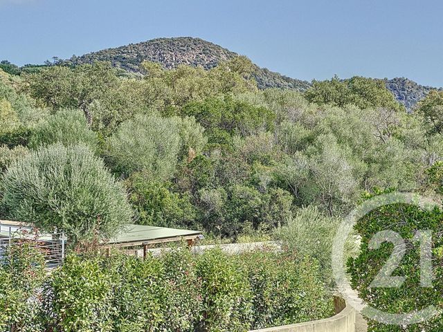 maison - ZONZA - 201