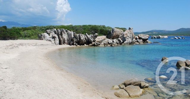 Maison à vendre - 5 pièces - 162 m2 - Pianotolli Caldarello - 201 - CORSE