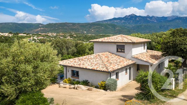 Maison &agrave; vendre - 5 pi&egrave;ces - 162 m2 - Pianotolli Caldarello - 201 - CORSE