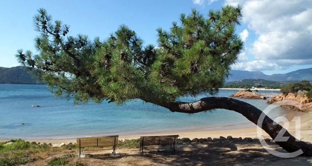 Maison à louer - 4 pièces - 101 m2 - Lecci - 201 - CORSE