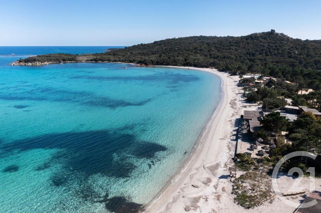 Maison à louer - 4 pièces - 101 m2 - Lecci - 201 - CORSE