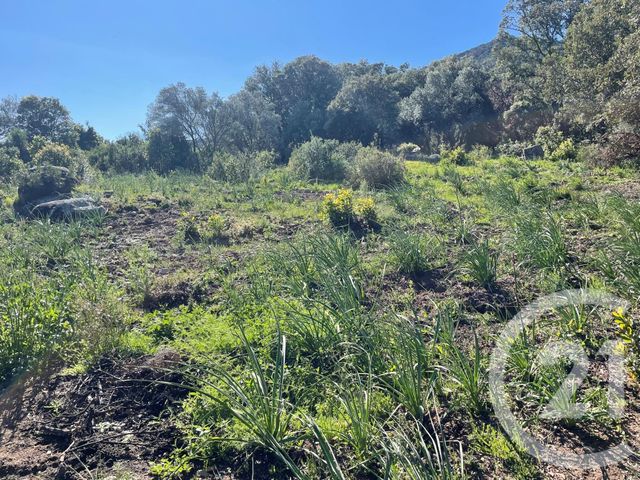 Maison &agrave; vendre - 6 pi&egrave;ces - 262 m2 - Porto Vecchio - 201 - CORSE