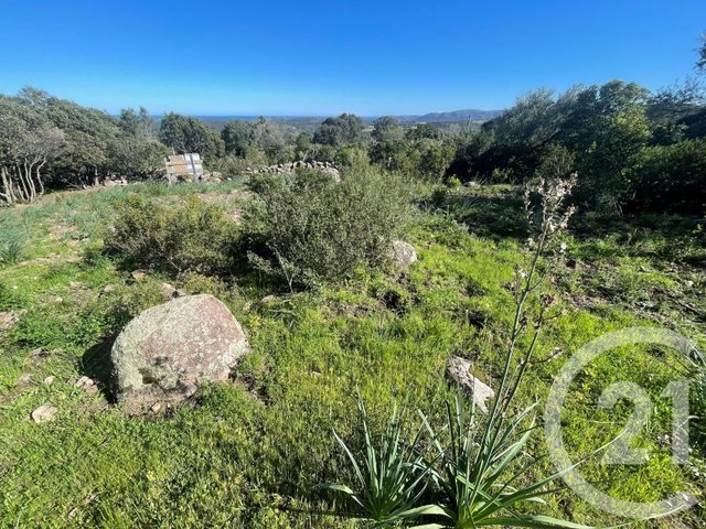 Maison &agrave; vendre - 6 pi&egrave;ces - 262 m2 - Porto Vecchio - 201 - CORSE