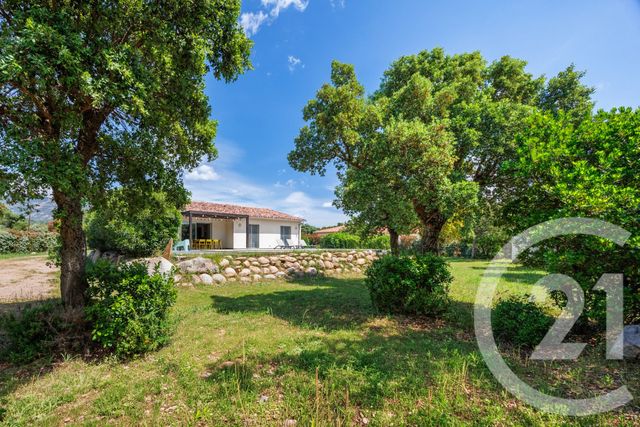 Maison &agrave; vendre - 5 pi&egrave;ces - 125 m2 - Porto Vecchio - 201 - CORSE