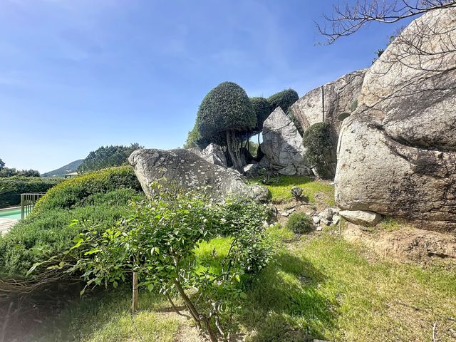 Maison &agrave; vendre - 7 pi&egrave;ces - 233 m2 - Zonza - 201 - CORSE