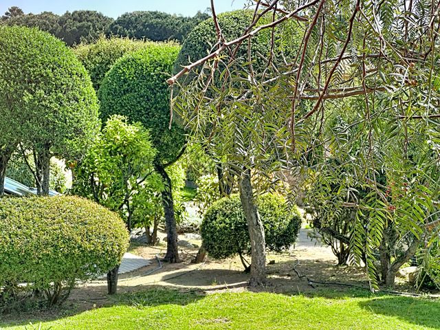 Maison &agrave; vendre - 7 pi&egrave;ces - 233 m2 - Zonza - 201 - CORSE