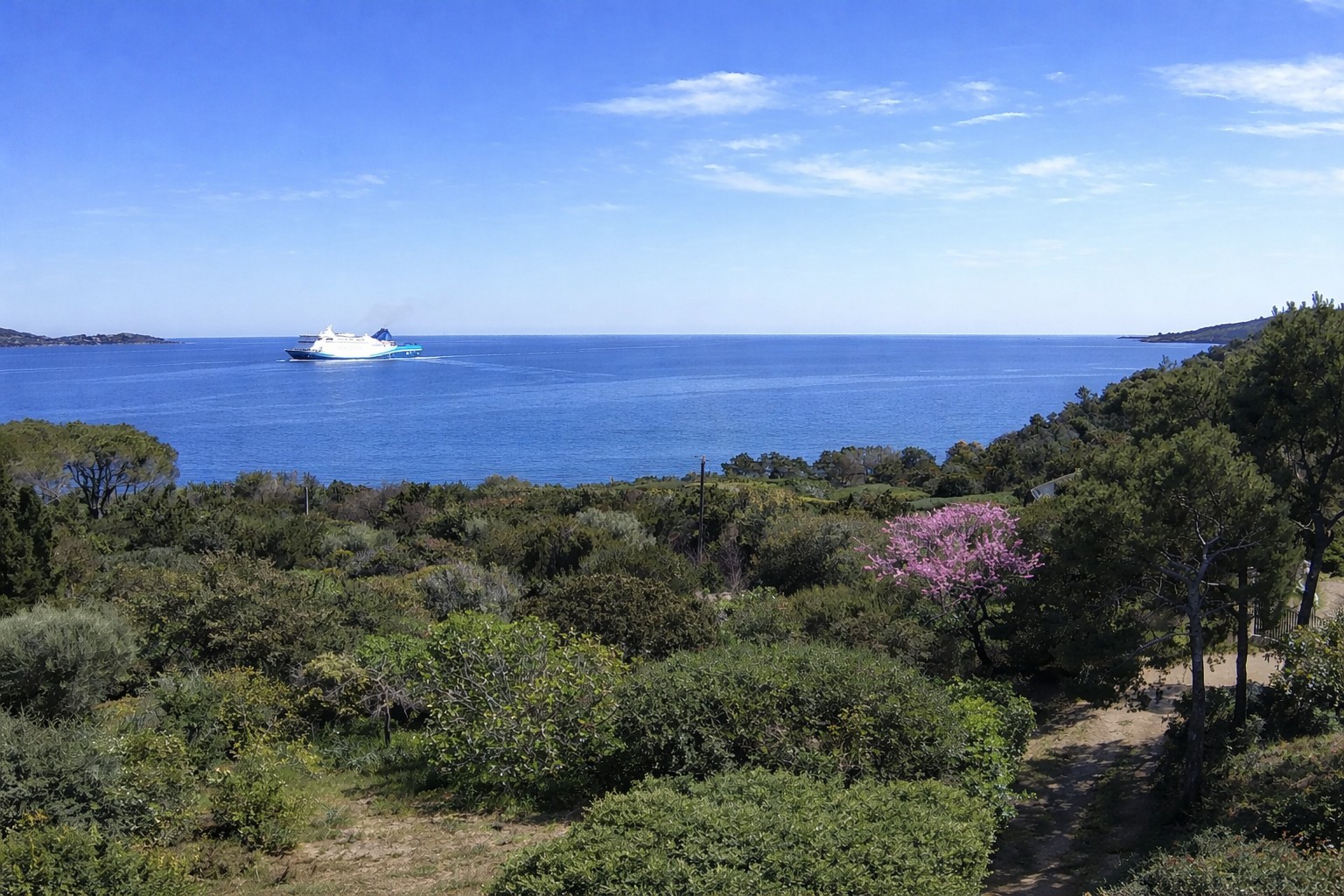 maison  - PORTO VECCHIO- 201