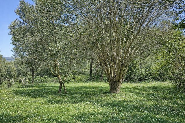 Maison &agrave; vendre - 9 pi&egrave;ces - 224 m2 - Porto Vecchio - 201 - CORSE