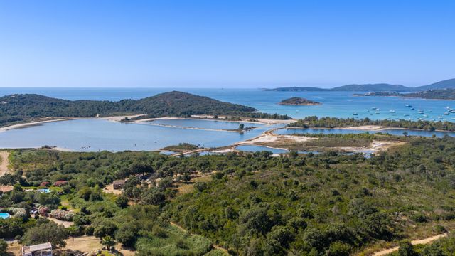 Maison &agrave; vendre - 8 pi&egrave;ces - 257 m2 - Zonza - 201 - CORSE