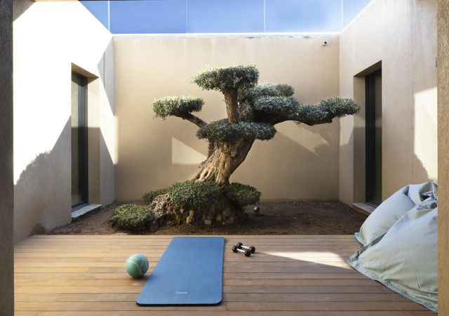 Maison à louer - 7 pièces - 350 m2 - Zonza - 201 - CORSE