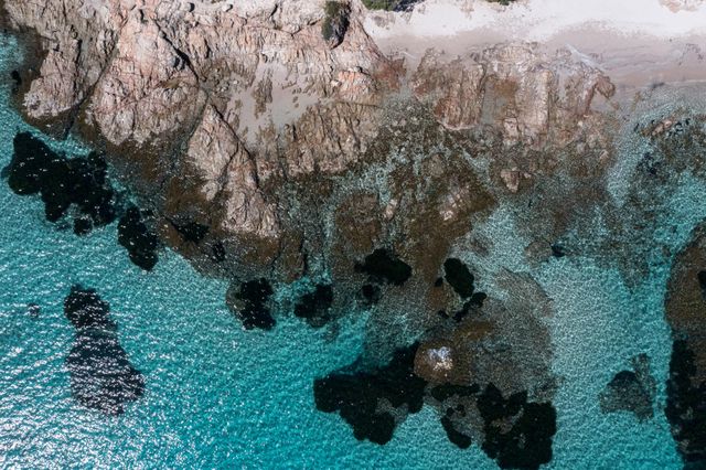 Maison à louer - 7 pièces - 350 m2 - Zonza - 201 - CORSE