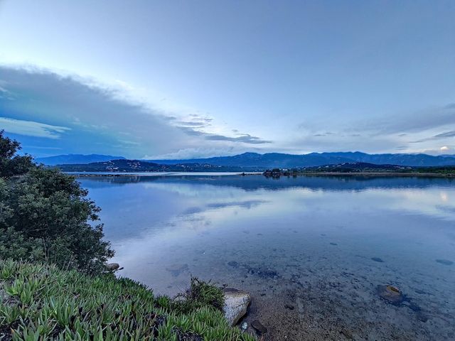 Maison à louer - 7 pièces - 250 m2 - Lecci - 201 - CORSE