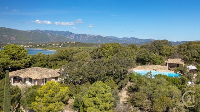 Maison à louer - 7 pièces - 250 m2 - Lecci - 201 - CORSE