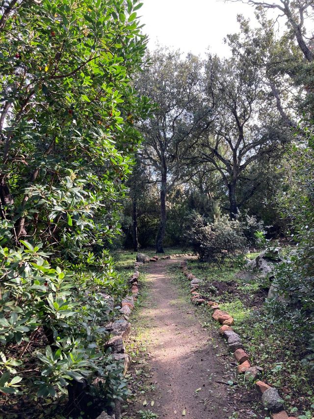 Maison à louer - 7 pièces - 250 m2 - Lecci - 201 - CORSE