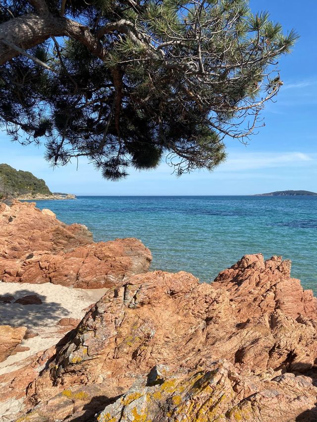 Maison à louer - 7 pièces - 250 m2 - Lecci - 201 - CORSE