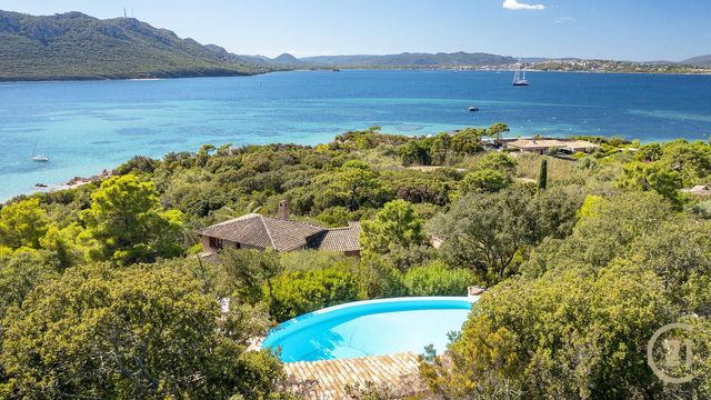 Maison à louer - 7 pièces - 250 m2 - Lecci - 201 - CORSE