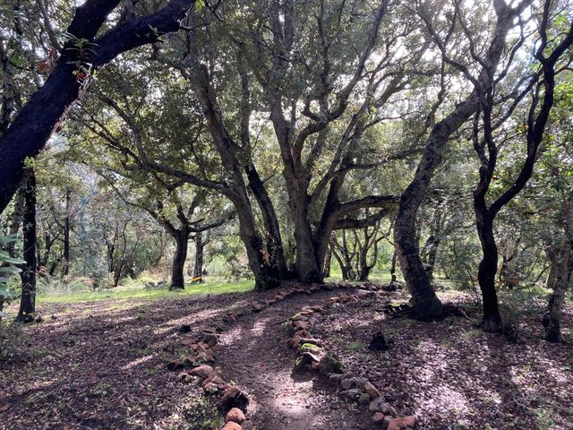 Maison à louer - 7 pièces - 250 m2 - Lecci - 201 - CORSE