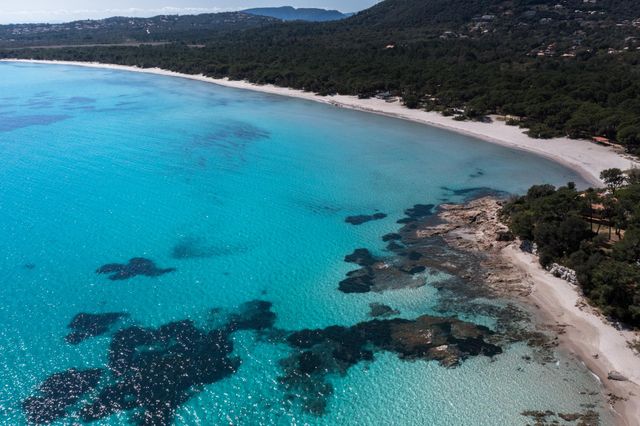 Maison &agrave; louer - 6 pi&egrave;ces - 250 m2 - Zonza - 201 - CORSE