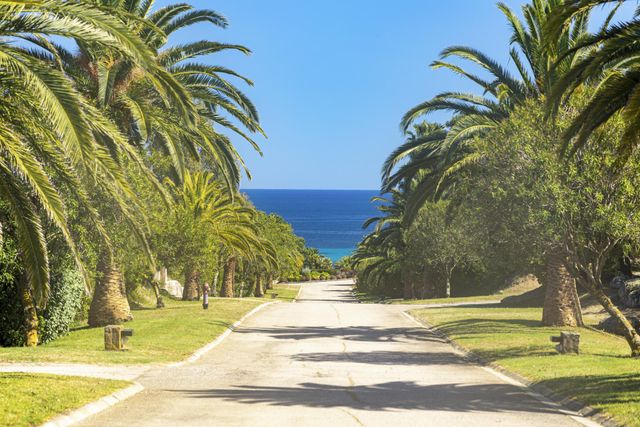 Maison à louer - 6 pièces - 200 m2 - Zonza - 201 - CORSE