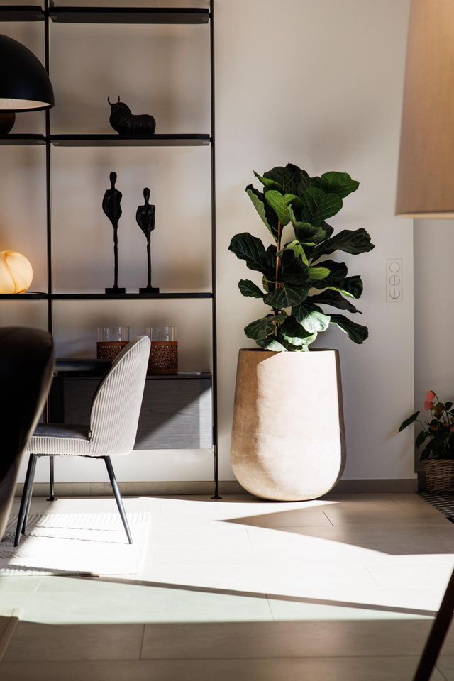 Maison à louer - 5 pièces - 200 m2 - Zonza - 201 - CORSE