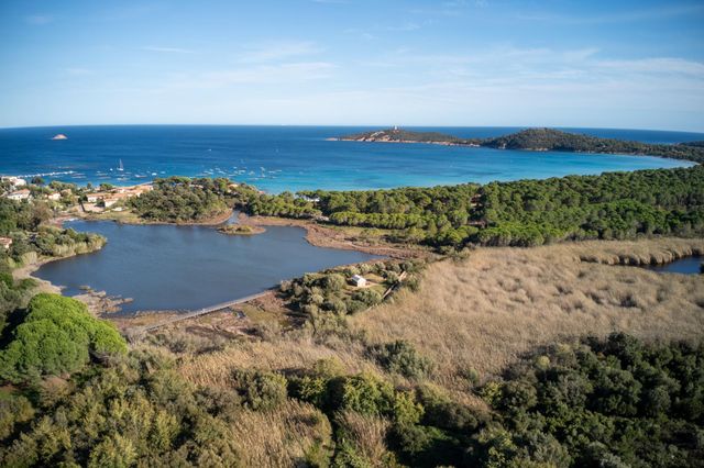 Maison à louer - 5 pièces - 200 m2 - Zonza - 201 - CORSE